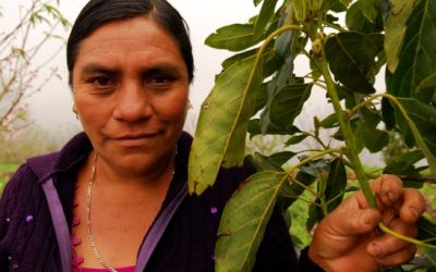 La mujer en la sociedad y en la Iglesia