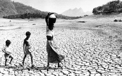 “El derecho al agua decide el futuro de la humanidad”
