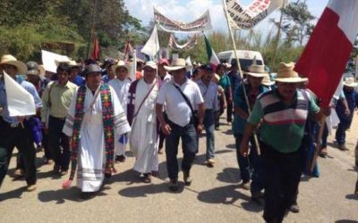 Discípulos que sepan ver, juzgar y actuar