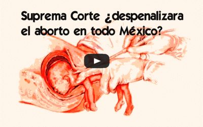 VIDEO Suprema Corte ¿despenalizara el aborto en todo México?