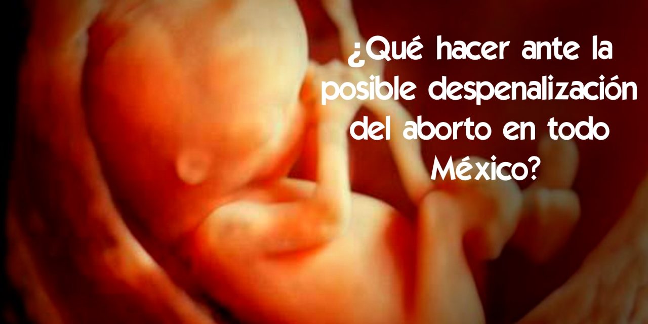 (VIDEO) ¿Qué hacer ante la posible despenalización del aborto en todo México?