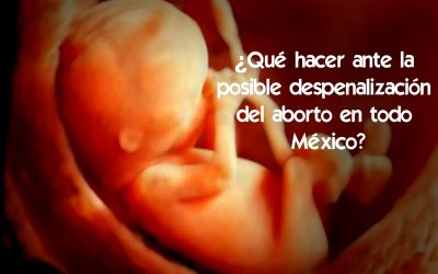 (VIDEO) ¿Qué hacer ante la posible despenalización del aborto en todo México?
