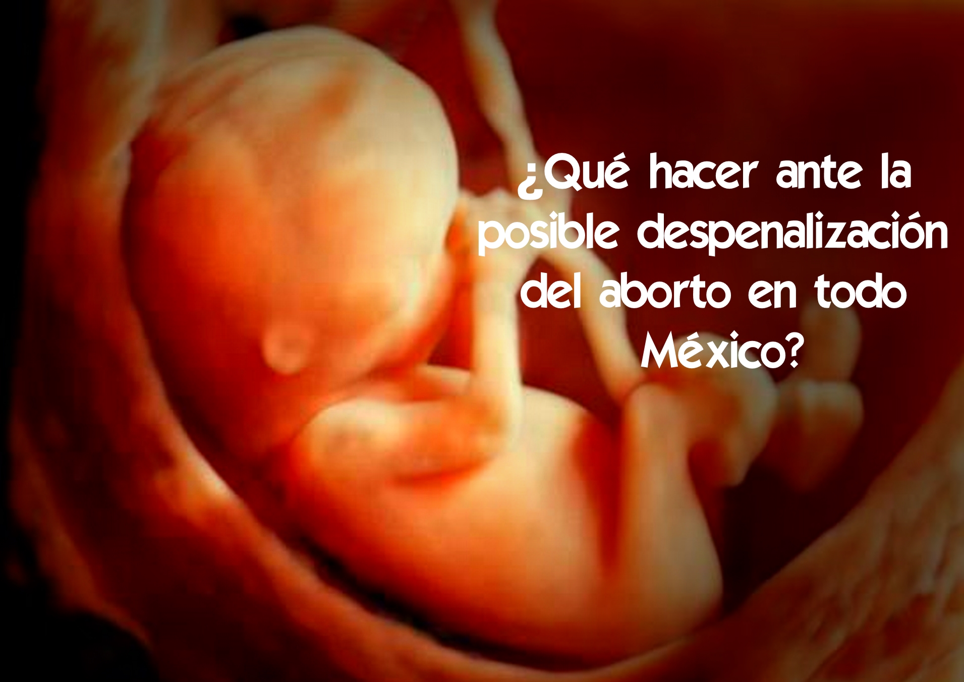(VIDEO) ¿Qué hacer ante la posible despenalización del aborto en todo México?