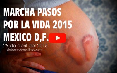 VIDEO Marcha Pasos por la Vida 2015