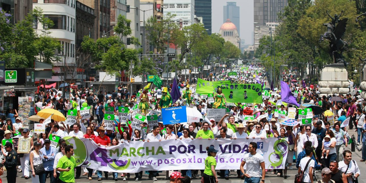 Masiva marcha de amor por la vida: más de 10 mil marchan por el fin del aborto