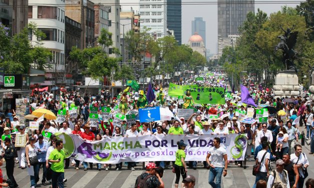 Masiva marcha de amor por la vida: más de 10 mil marchan por el fin del aborto