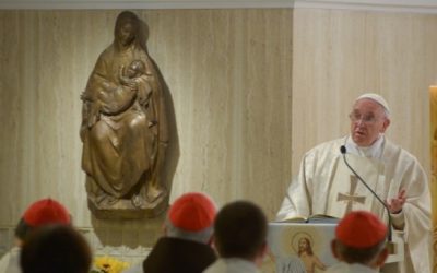 Sin maternidad la Iglesia es «una asociación rígida, una asociación sin calor humano, huérfana»: Papa
