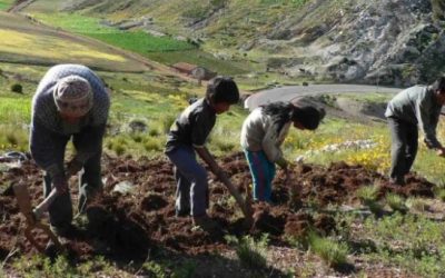 «Para acabar con el hambre es preciso ayudar a los agricultores»