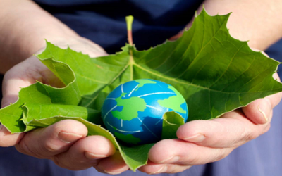 De la crisis ecológica a la conversión ecológica