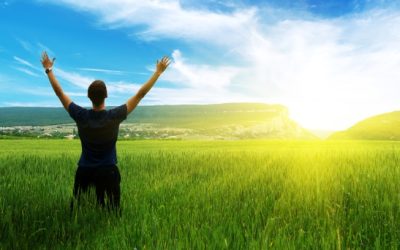 La especie humana y sus responsabilidades