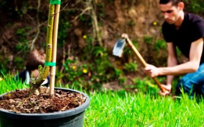 ¿Cómo es mi actitud hacia la creación?