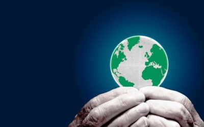 En puerta, la primera Jornada Mundial de Oración por el cuidado de la Creación