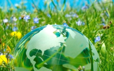 El Evangelio de la Creación