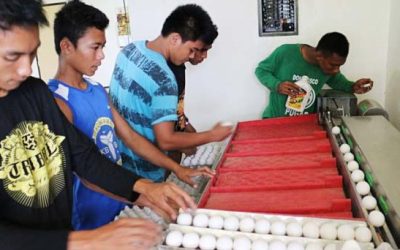 PUGAD: Esperanza para jóvenes vulnerables