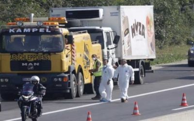 Migración: entre la tragedia y el beneficio