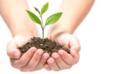 Tiempo para la creación