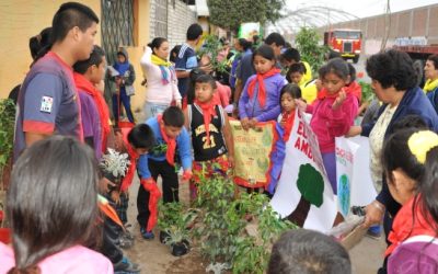Sembrando oxígeno para los «niños del plomo»