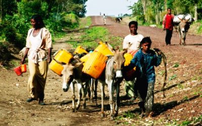 Agua para mejorar la vida