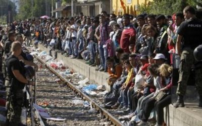 Vence la indiferencia y conquista la paz