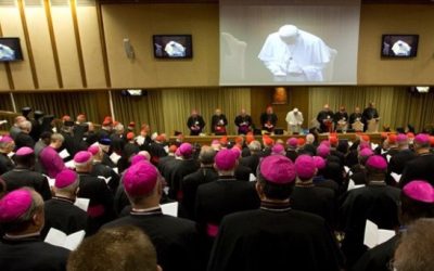 El Sínodo no es un parlamento sino una expresión eclesial