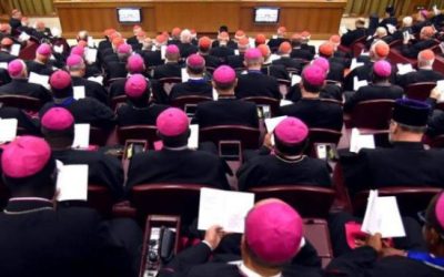 Terminó el Sínodo. Y ahora ¿qué?