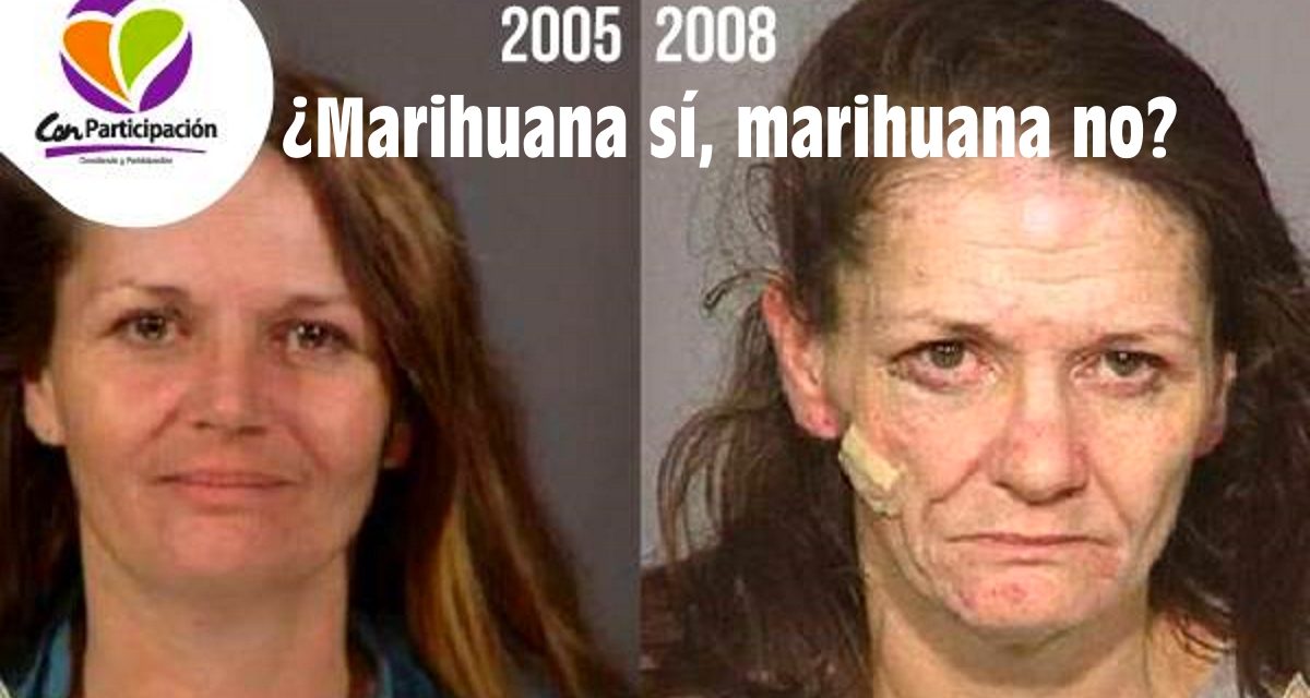 ¿Marihuana sí, marihuana no?