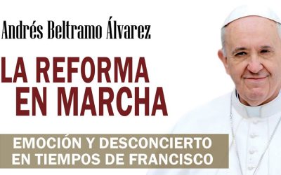 En marcha las reformas del Papa Francisco: la misericordia una de ellas