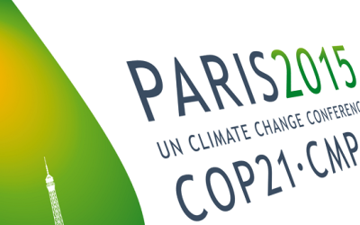 Cop21: el acuerdo “histórico” de París sobre el clima tiene algún defecto