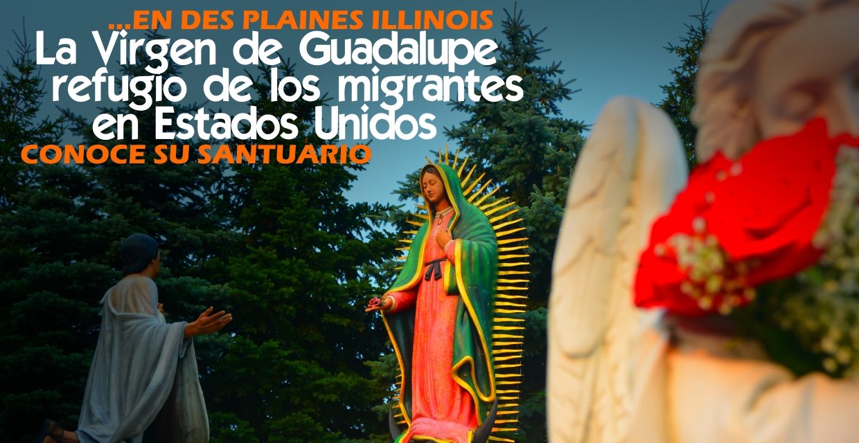 Virgen de Guadalupe refugio de migrantes en Estados Unidos