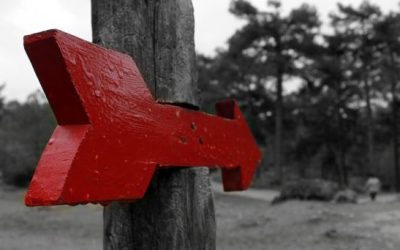 Adviento, esperanza en Jesús que llega