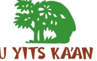 U Yits Ka’an: 20 años de sembrar vida digna