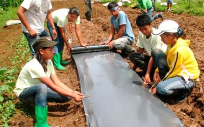 Agricultura para ayudar a jóvenes
