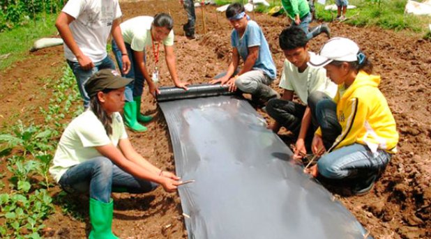 Agricultura para ayudar a jóvenes