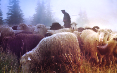 Escuchar su voz, seguir sus pasos