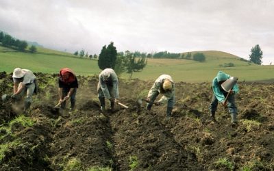 Extranjeros en su propia tierra