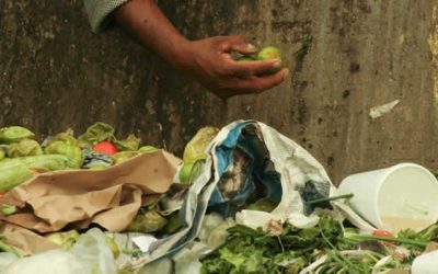 Desperdicio de alimentos en América Latina: cada día se desperdician 348 mil toneladas