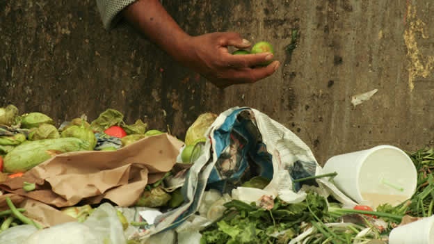 Desperdicio de alimentos en América Latina: cada día se desperdician 348 mil toneladas