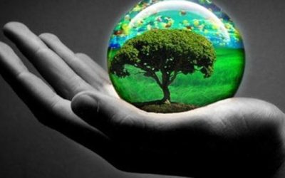 Publican manual digital de Cine para el cuidado de la casa común