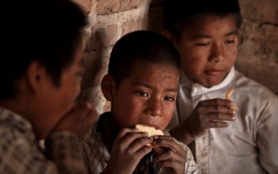 Indiferencia que nos deshumaniza