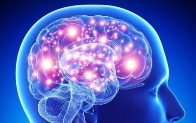 Entre la opinión y la ciencia
