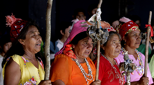 ¿Qué nos aportan los pueblos indígenas?