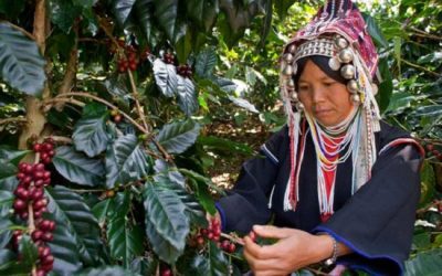 Proyecto “Café Bruno”: fe y educación para jóvenes asiáticos