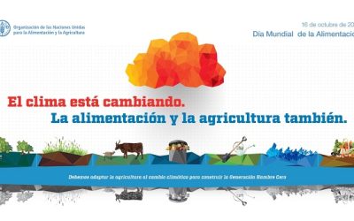 Francisco envía mensaje por el Día de la Alimentación