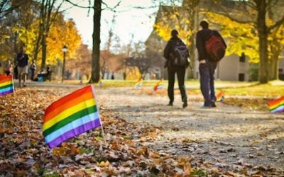 Homofobia, ¿cómo la entendemos?