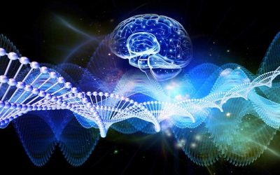 La ciencia experimental, ¿lo explicará todo?