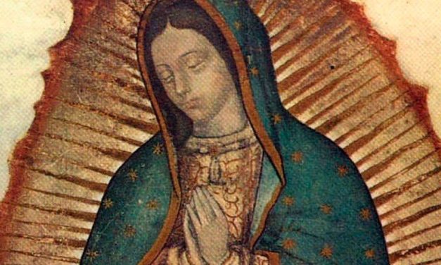 El miedo a Trump el miedo a ser deportados se vence con esperanza y la Virgen de Guadalupe