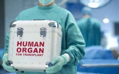 Realizarán en el Vaticano congreso sobre tráfico de órganos