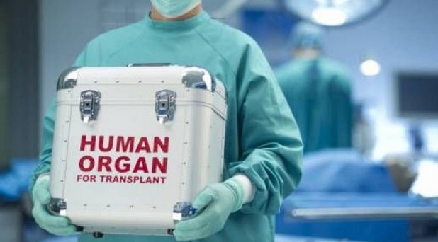 Turismo de trasplante de órganos