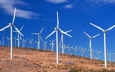 Eólicos: entre la extinción y el despojo