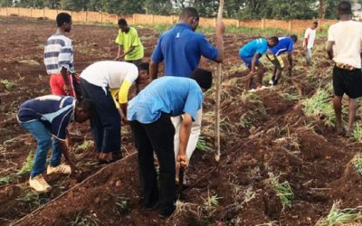 Agricultura contra la trata de personas